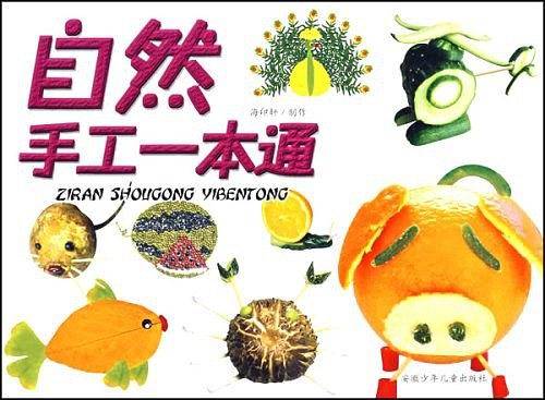 自然手工一本通