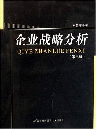 企业战略分析
