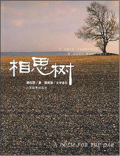 相思树