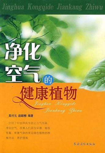 净化空气的健康植物