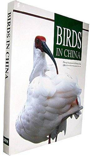 中国野鸟