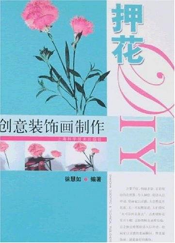 创意装饰画制作押花DIY