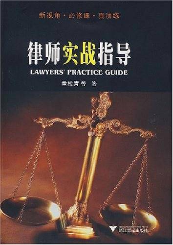 律师实战指导