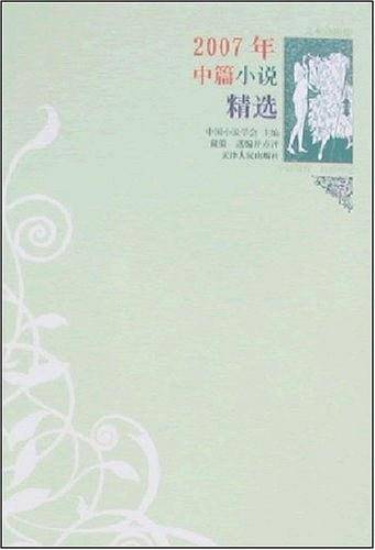 2007年中篇小说精选