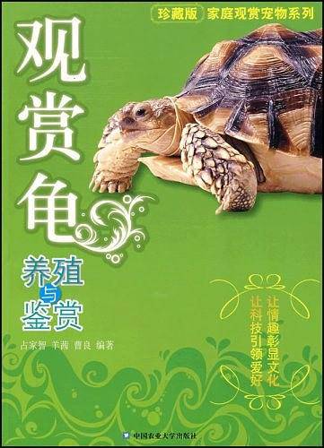 观赏龟养殖与鉴赏