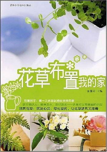 花草布置我的家
