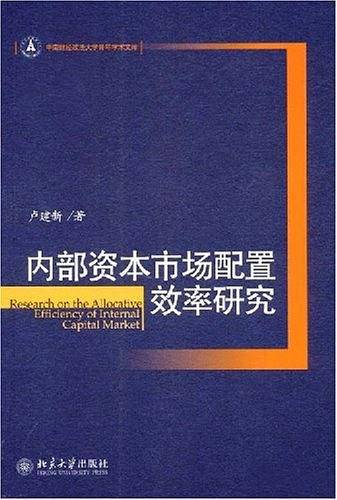 内部资本市场配置效率研究