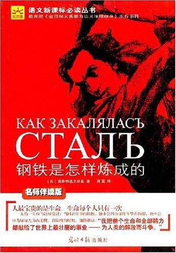 钢铁是怎样炼成的 