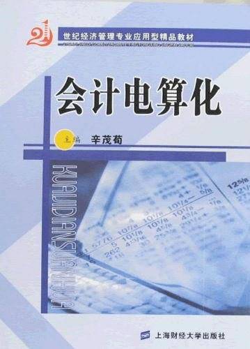会计电算化