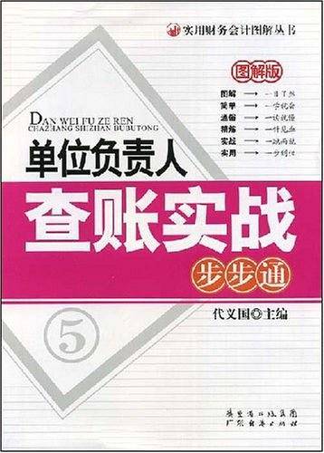 单位负责人查账实战步步通