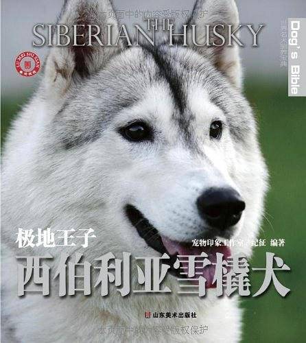 世界名犬驯养宝典－极地王子 西伯利亚雪橇犬
