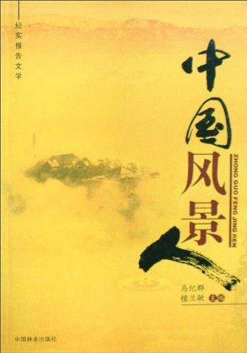 中国风景人