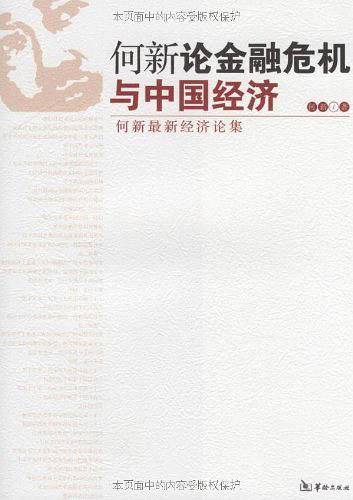 何新论金融危机与中国经济