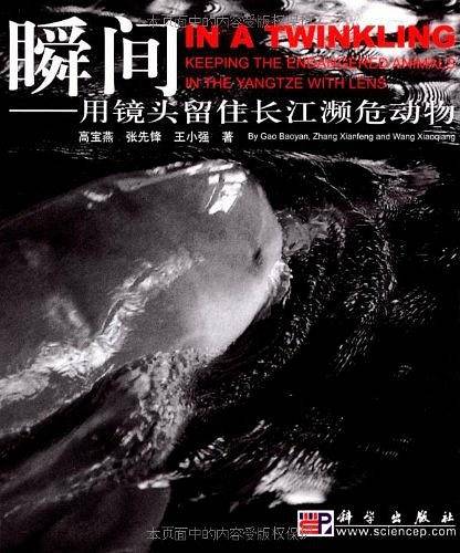 瞬间