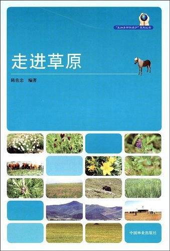 走进草原