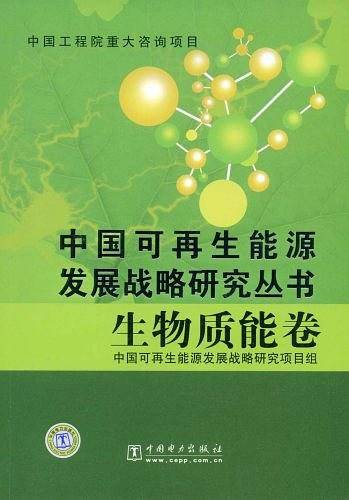 生物质能卷/中国可再生能源发展战略研究丛书