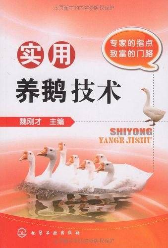 实用养鹅技术