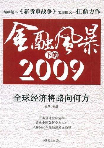 金融风暴下的2009