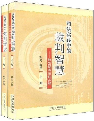 司法实践中的裁判智慧-新型疑难案件评释（上、下册）