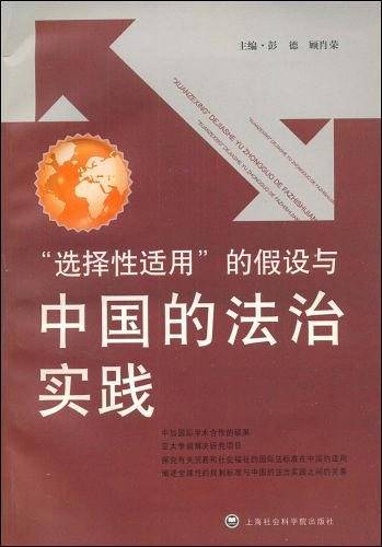 选择性适用的假设与中国的法制实践