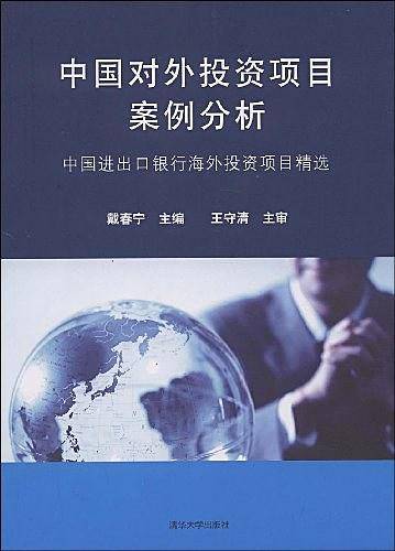 中国对外投资项目案例分析