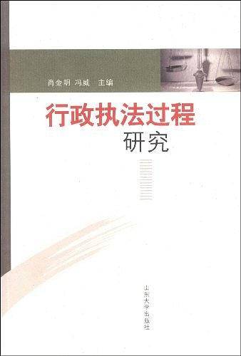 行政执法过程研究