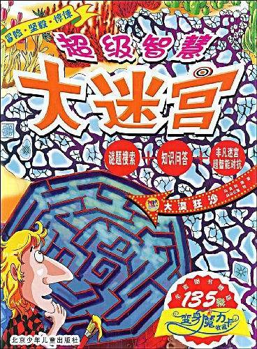 超级智慧大迷宫·大漠狂沙