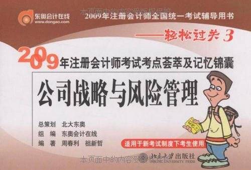 公司战略与风险管理