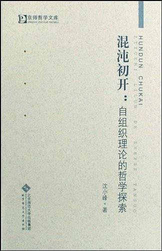 混沌初开――自组织理论的哲学探索