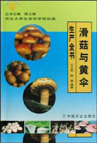 滑菇与黄伞生产全书