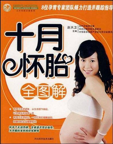 十月怀胎全图解