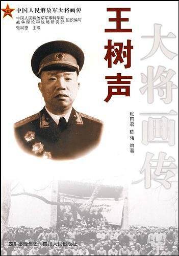 王树声大将画传