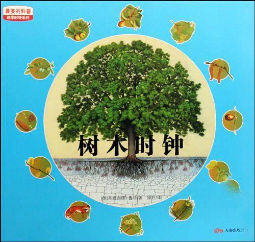 最美的科普·四季时钟系列：树木时钟