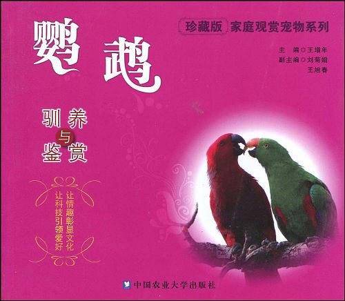 鹦鹉驯养与鉴赏