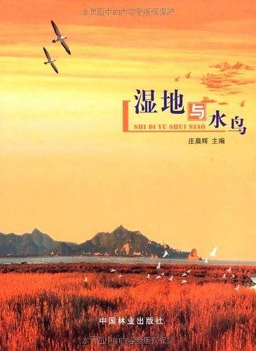 湿地与水鸟