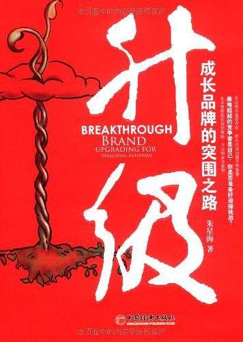 升级：成长品牌的突围之路