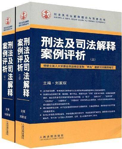 刑法及司法解释案例评析