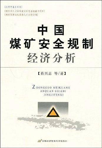 中国煤矿安全规制经济分析