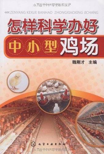 怎样科学办好中小型鸡场