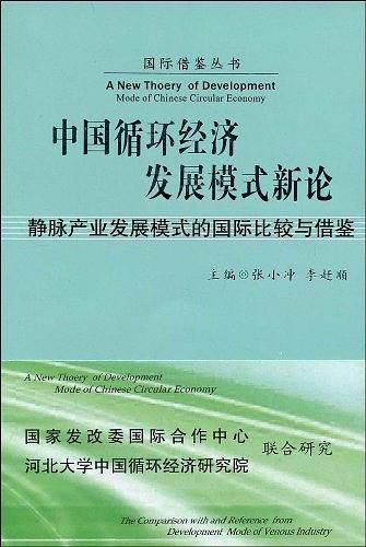中国循环经济发展模式新论