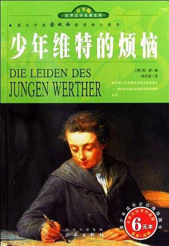 少年维特的烦恼