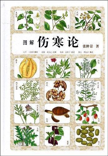 图解伤寒论