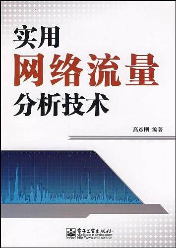 实用网络流量分析技术