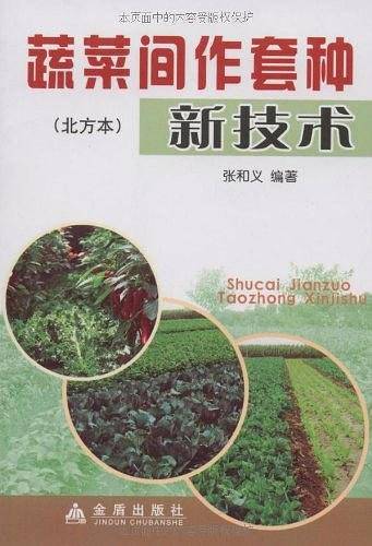 蔬菜间作套种新技术