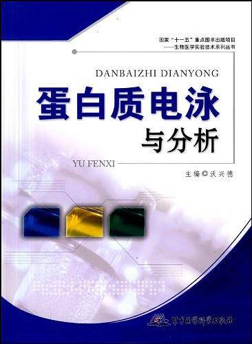 蛋白质电泳与分析