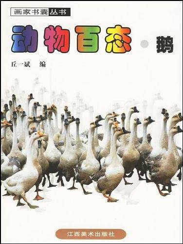 动物百态·鹅