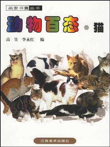 动物百态·猫
