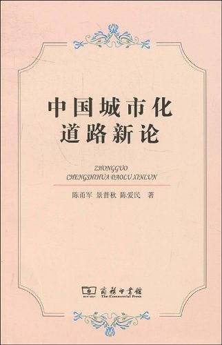 中国城市化道路新论