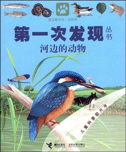 动物类
