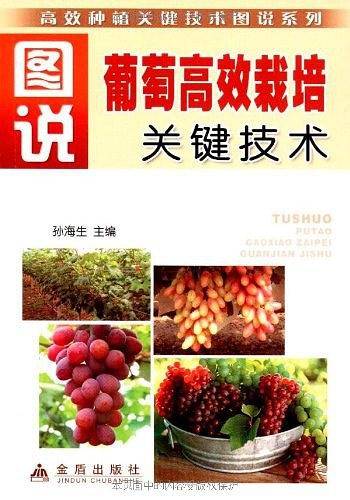 图说葡萄高效栽培关键技术